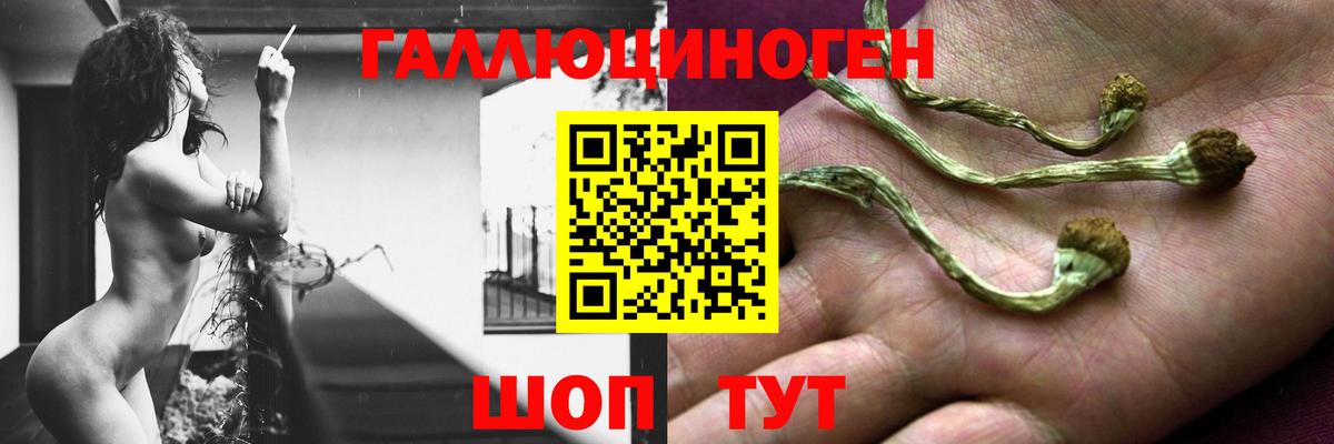 Артёмовский  где купить наркотик  Вход с VPN  Галлюциногенные грибы ЛСД 